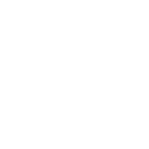 Tùng Việt Store